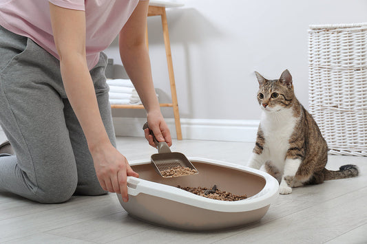 🌼 Spring Cleaning Tips for Pet Parents