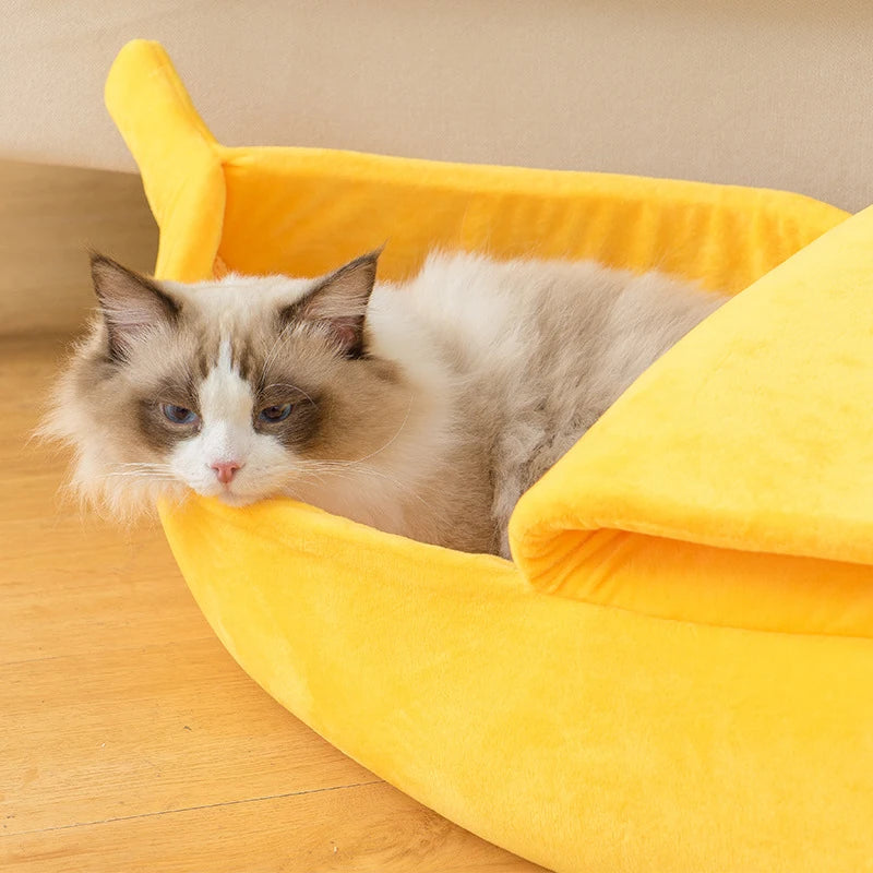 Banana Bliss - Cat Bed
